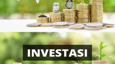 Alasan Mengapa Investasi Itu Penting, Simak di Bawah Ini