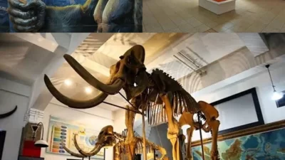 5 Rekomendasi Wisata Museum di Bandung