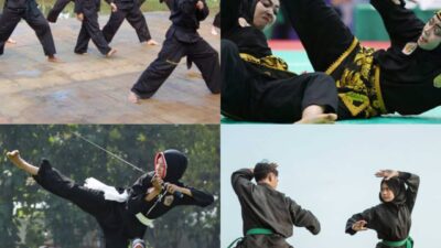 Pencak Silat