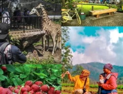 Rekomendasi Wisata Bandung Yang Kids Frienly, Cocok untuk Liburan Bersama Anak