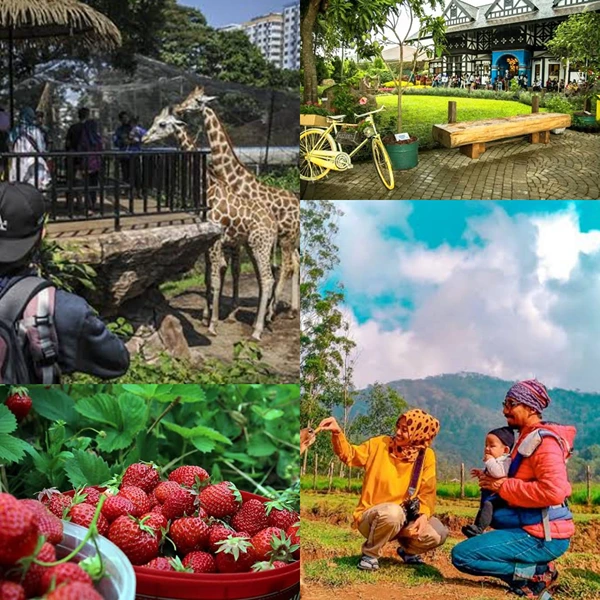 Wisata Kids Friendly