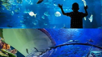 Aquarium
