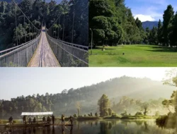 Rekomendasi Wisata di Sukabumi yang wajub Anda Kunjungi