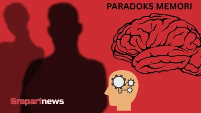 paradok memori