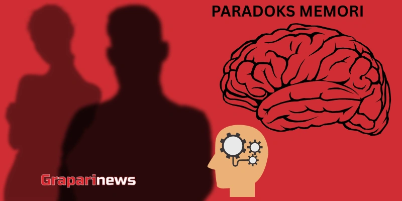 paradok memori